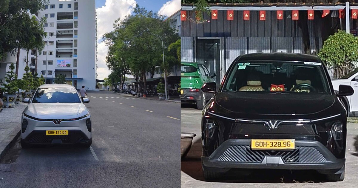 Thuê Xe Du Lịch Bến Tre – Đa Dạng Dòng Xe, Lịch Trình Linh Hoạt
